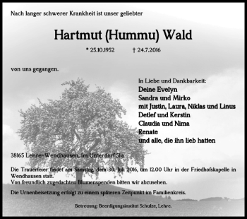 Traueranzeige von Hartmut Hummu Wald von Braunschweiger Zeitung