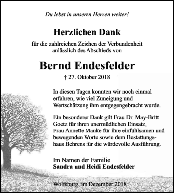 Traueranzeige von Bernd Endesfelder von Wolfsburger Nachrichten