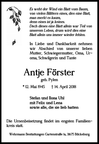 Traueranzeige von Antje Förster von Braunschweiger Zeitung