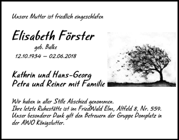 Traueranzeige von Elisabeth Förster von Wolfenbütteler Zeitung