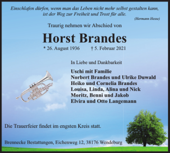 Traueranzeige von Horst Brandes von Braunschweiger Zeitung