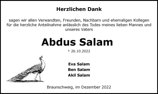 Traueranzeige von Abdus Salam von Braunschweiger Zeitung