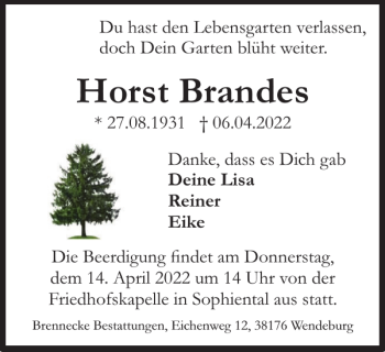 Traueranzeige von Horst Brandes von Peiner Nachrichten