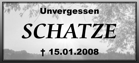 Traueranzeige von Schatze  von Braunschweiger Zeitung