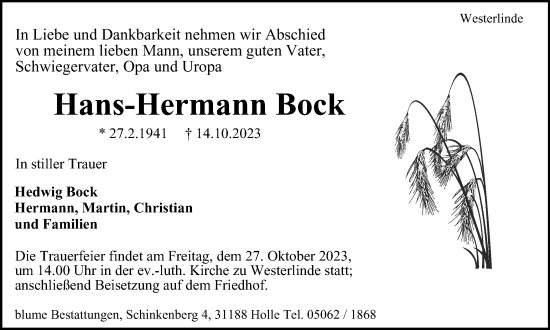 Traueranzeige von Hans-Hermann Bock von Salzgitter-Zeitung