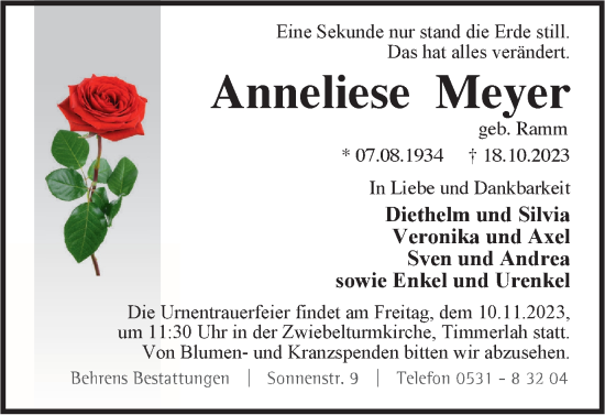 Traueranzeige von Anneliese Meyer von Braunschweiger Zeitung