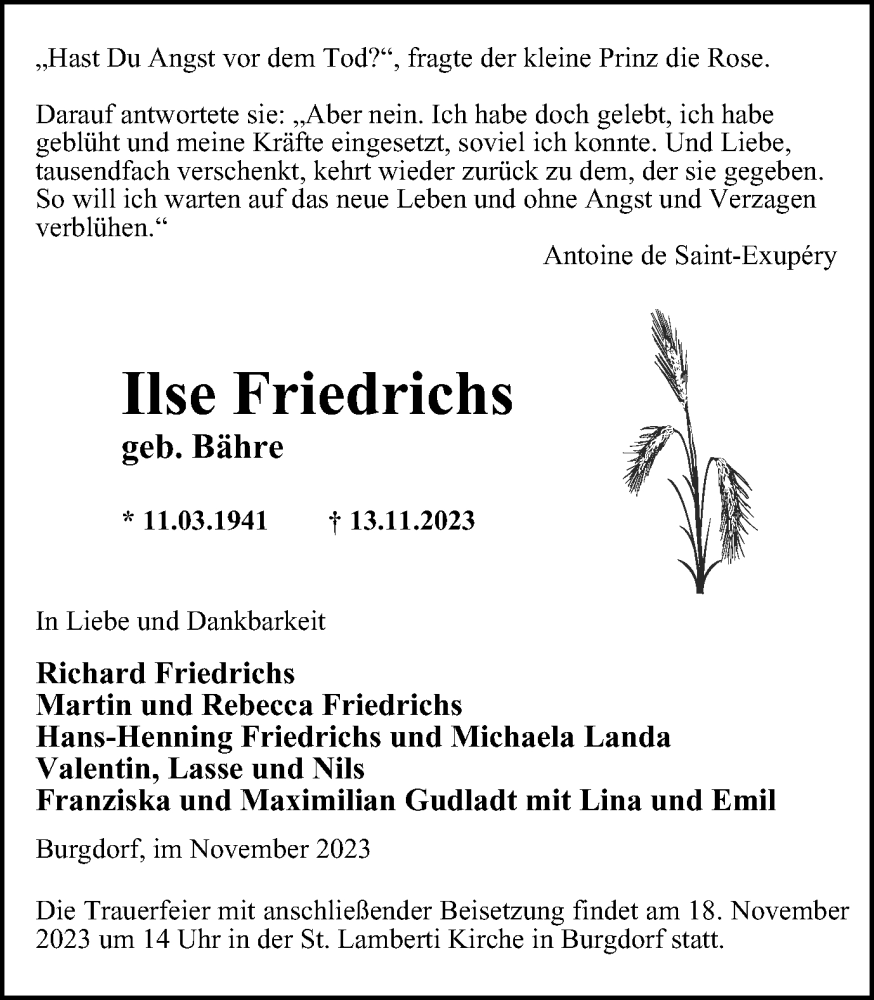  Traueranzeige für Ilse Friedrichs vom 15.11.2023 aus Salzgitter-Zeitung