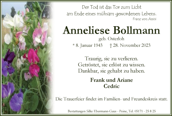Traueranzeige von Anneliese Bollmann von Peiner Nachrichten