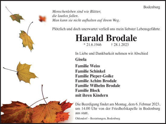 Traueranzeige von Harald Brodale von Salzgitter-Zeitung