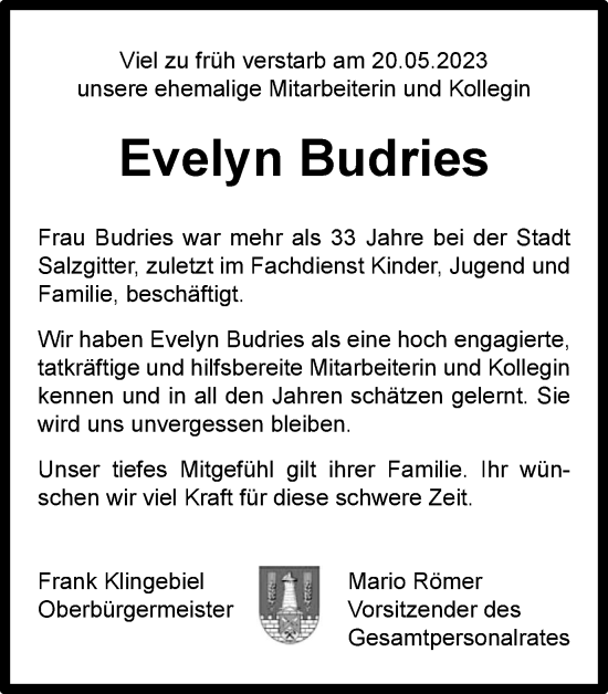 Traueranzeige von Evelyn Budries von Salzgitter-Zeitung
