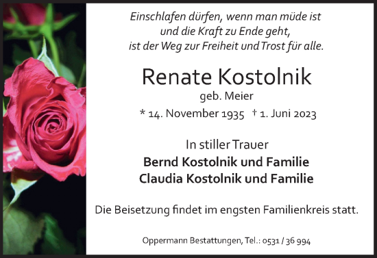 Traueranzeige von Renate Kostolnik von Wolfenbütteler Zeitung