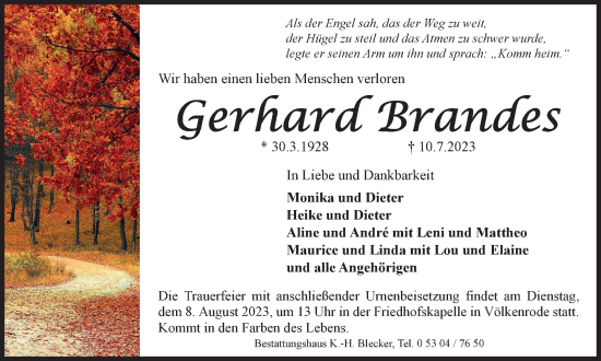 Traueranzeige von Gerhard Brandes von Braunschweiger Zeitung