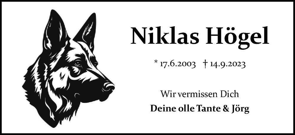  Traueranzeige für Niklas Högel vom 22.09.2023 aus Braunschweiger Zeitung