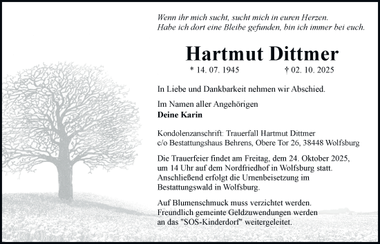 Traueranzeige von Hartmut Dittmer von Braunschweiger Zeitung, Wolfsburger Nachrichten