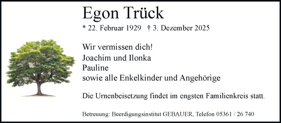 Traueranzeige von Egon Trück von Braunschweiger Zeitung, Wolfsburger Nachrichten
