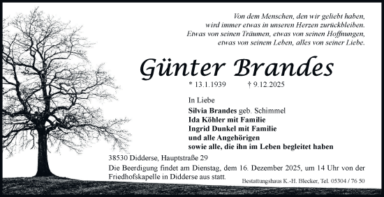 Traueranzeige von Günter Brandes von Braunschweiger Zeitung