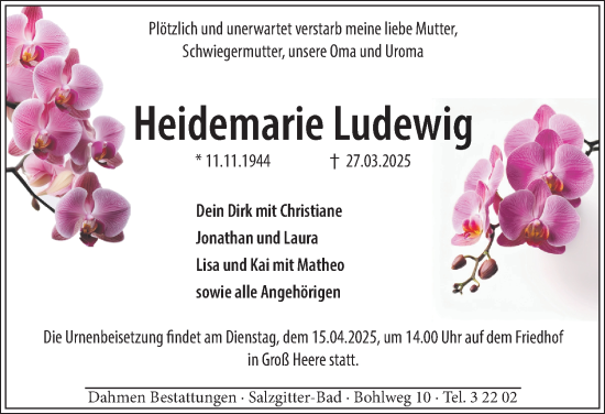 Traueranzeige von Heidemarie Ludewig von Salzgitter-Zeitung
