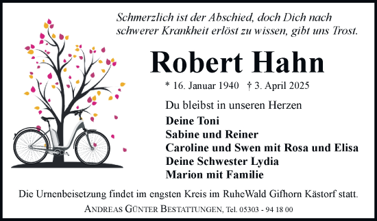 Traueranzeige von Robert Hahn 