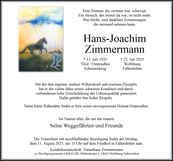 Traueranzeige von Hans-Joachim Zimmermann von Braunschweiger Zeitung, Wolfsburger Nachrichten
