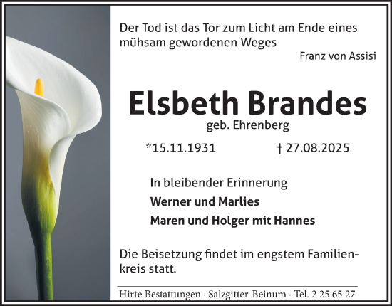 Traueranzeige von Elsbeth Brandes von Salzgitter-Zeitung